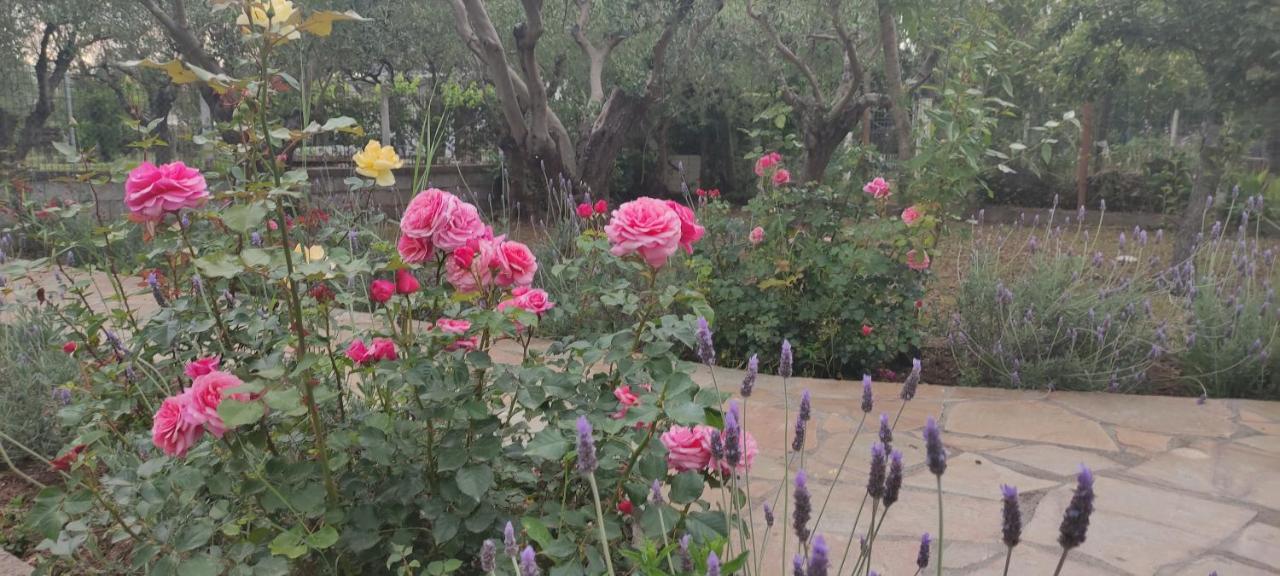Villa Harmony Vergia 외부 사진